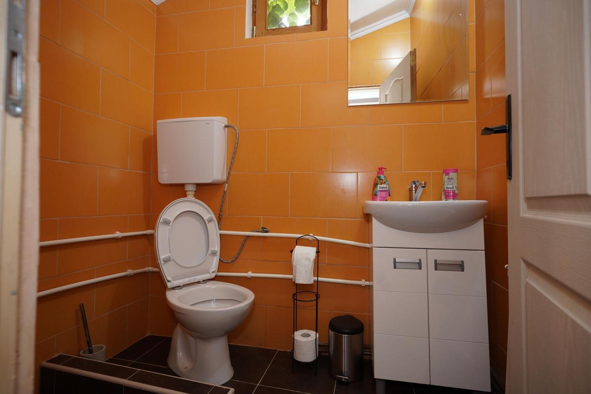 Appartement Zmaj Ognjeni Etno Concept à Kupinovo Extérieur photo
